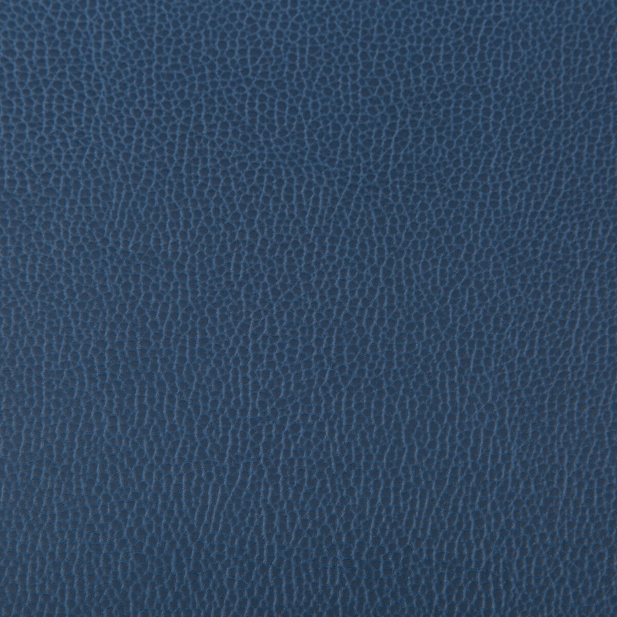 KRAVET CONTRACT LENOX BLUEBERRY