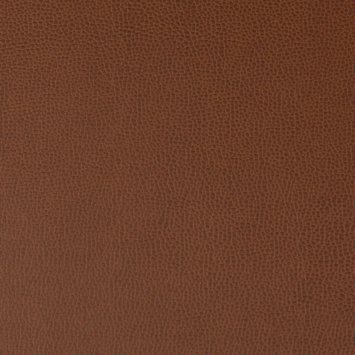KRAVET CONTRACT LENOX ROOTBEER