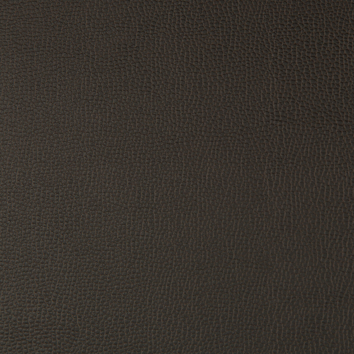 KRAVET CONTRACT LENOX JAVA
