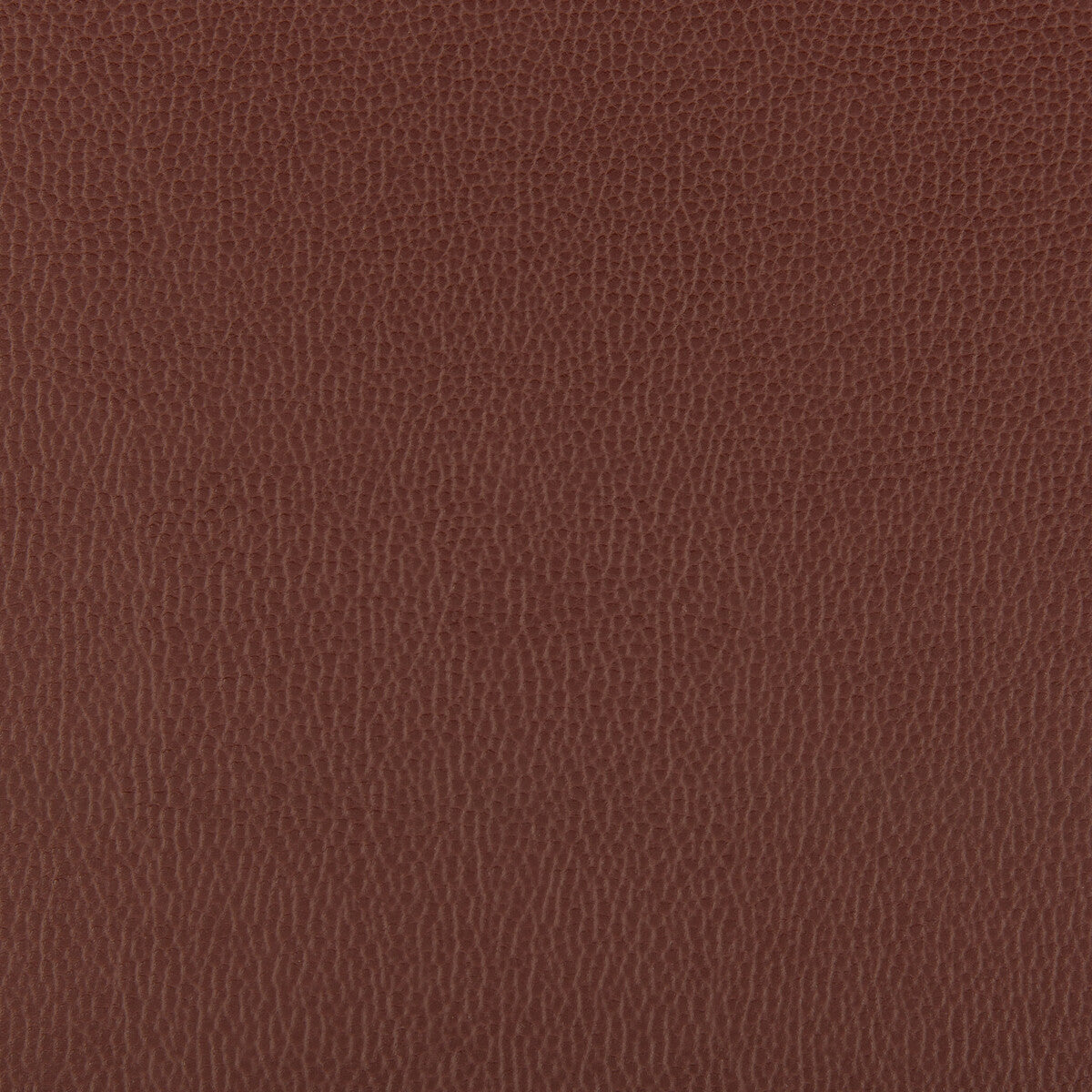 KRAVET CONTRACT LENOX RAISIN