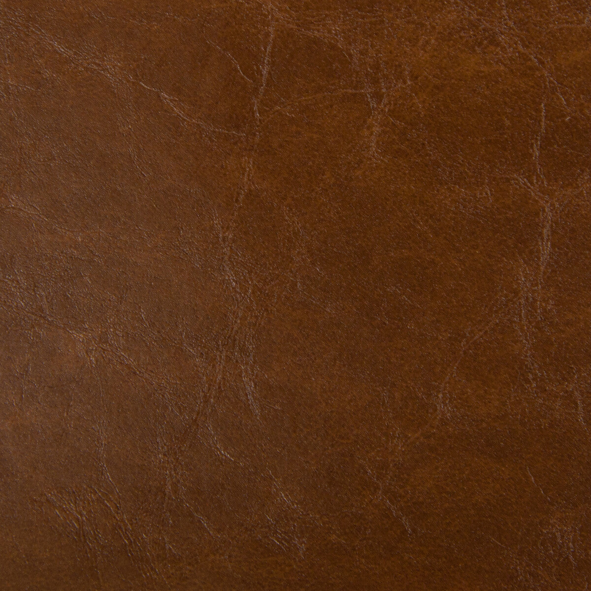 KRAVET DESIGN LIPIZZAN SADDLE