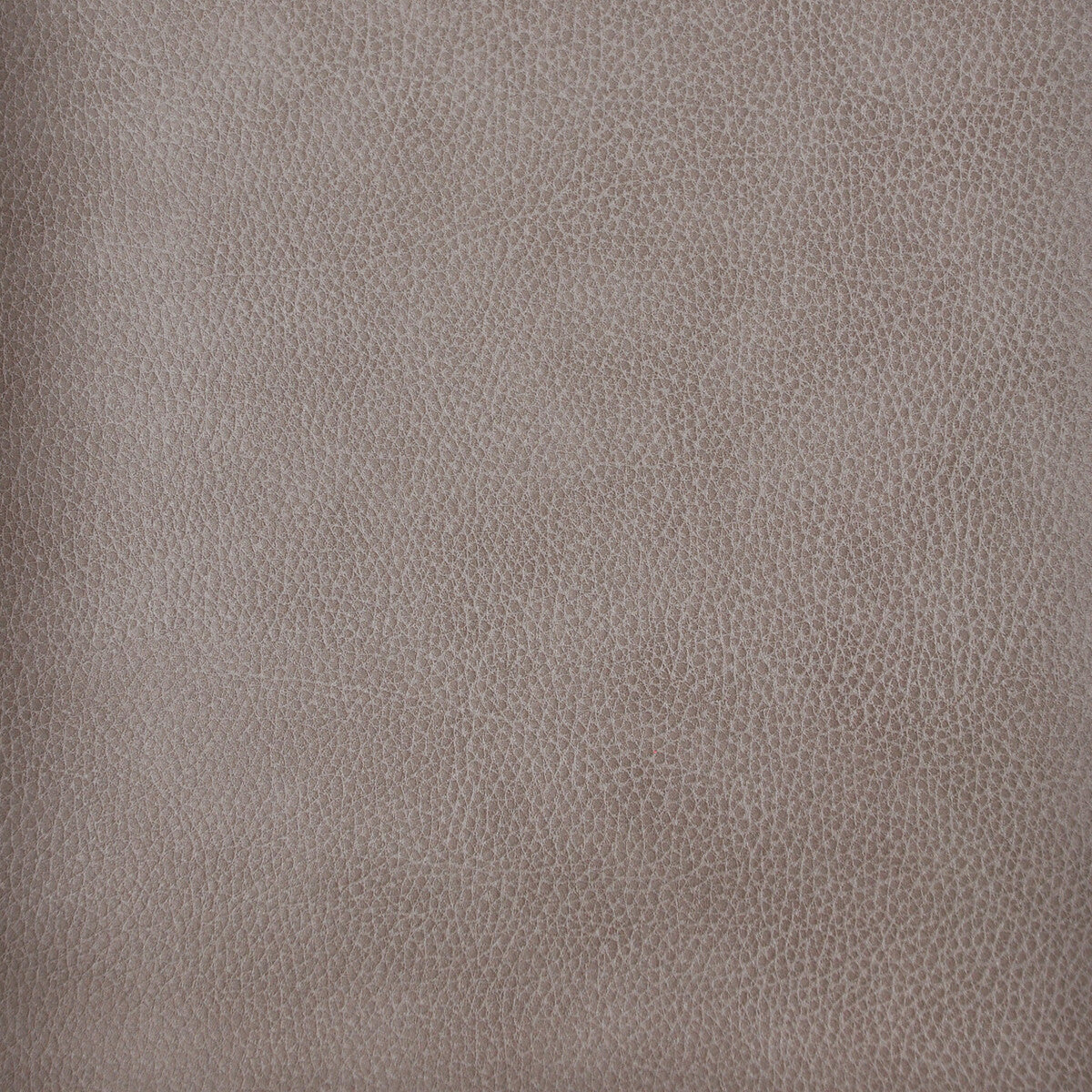 KRAVET DESIGN KRAVET DESIGN LORIS-11