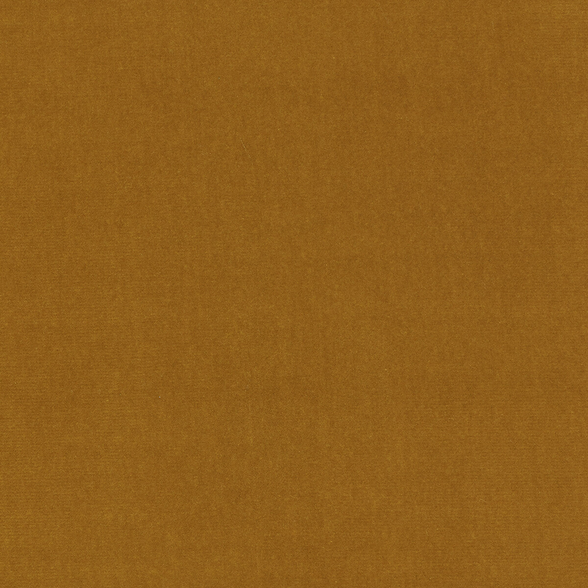 KRAVET DESIGN ETERNAL 05