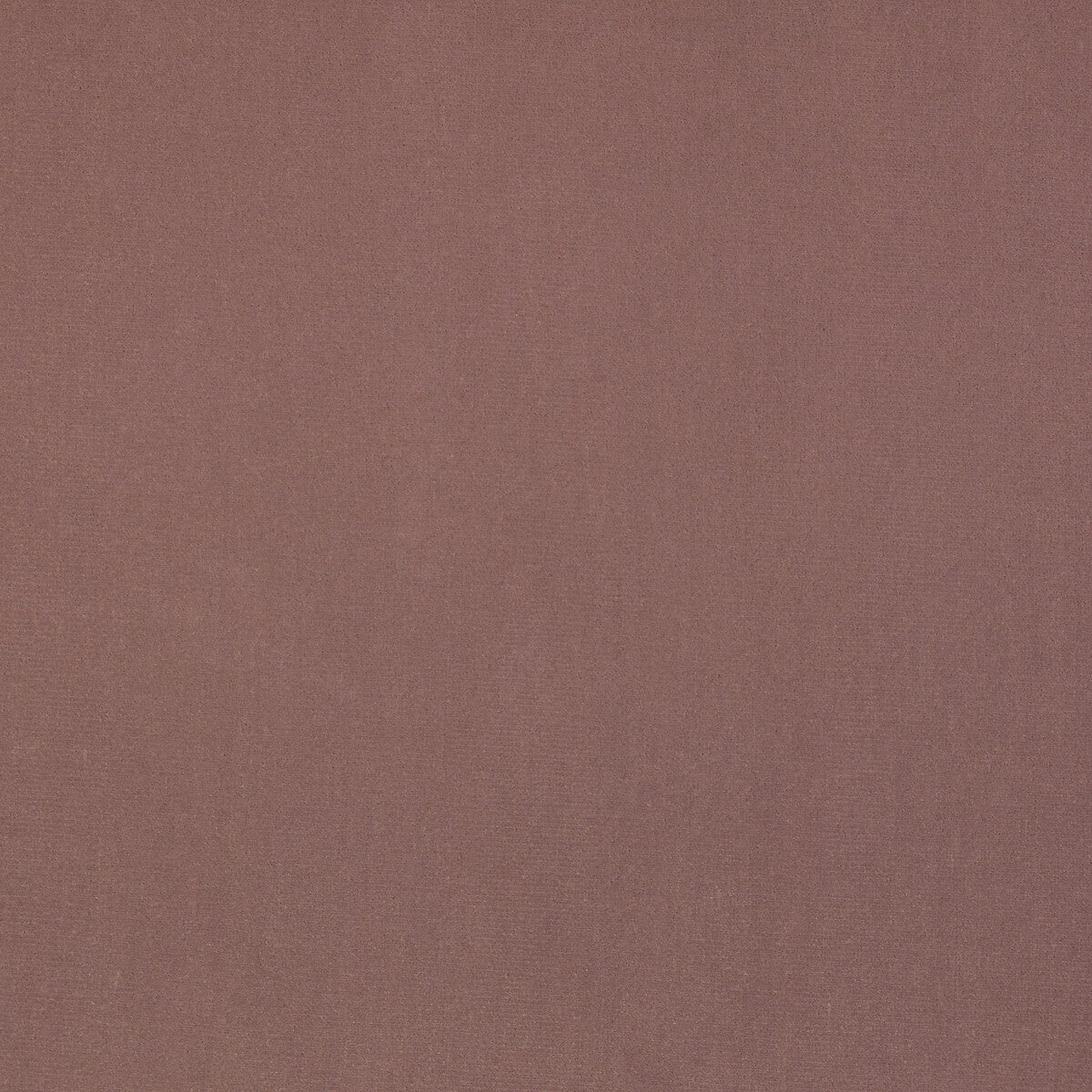 KRAVET DESIGN GURU 12