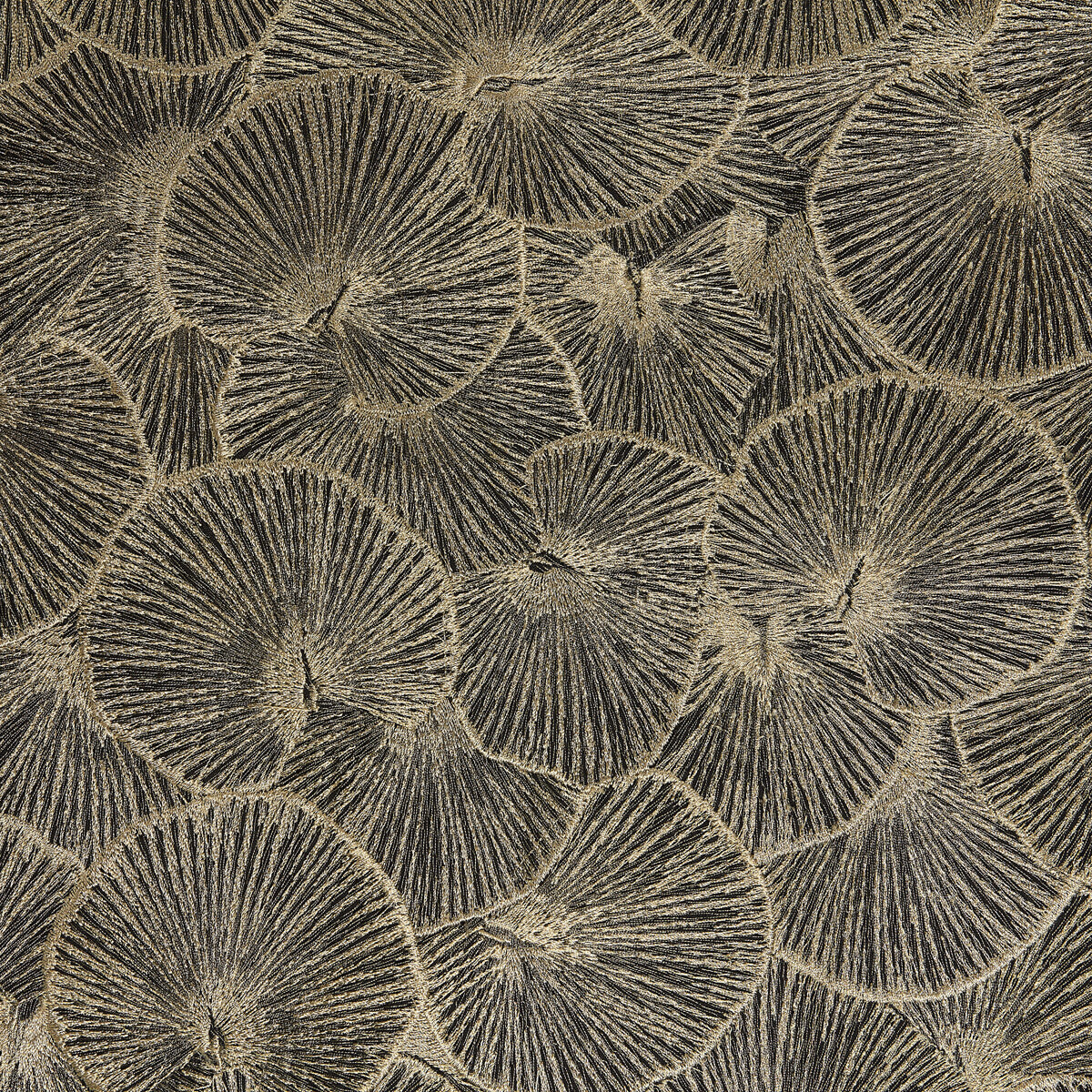 KRAVET DESIGN LOTUS 05