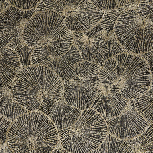 KRAVET DESIGN LOTUS 05