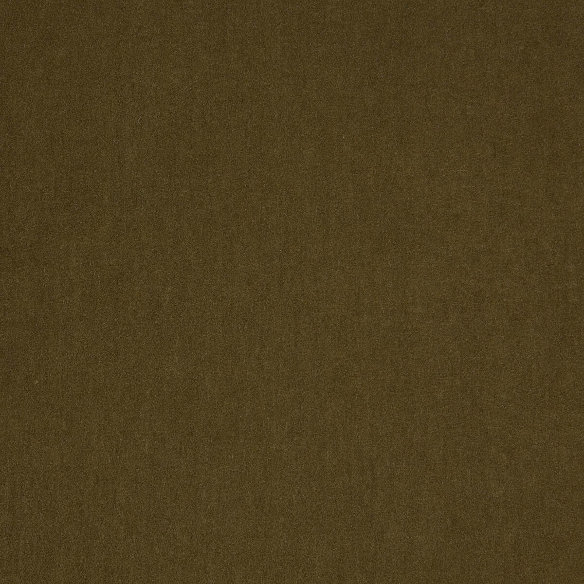 KRAVET DESIGN LIVORNO 01