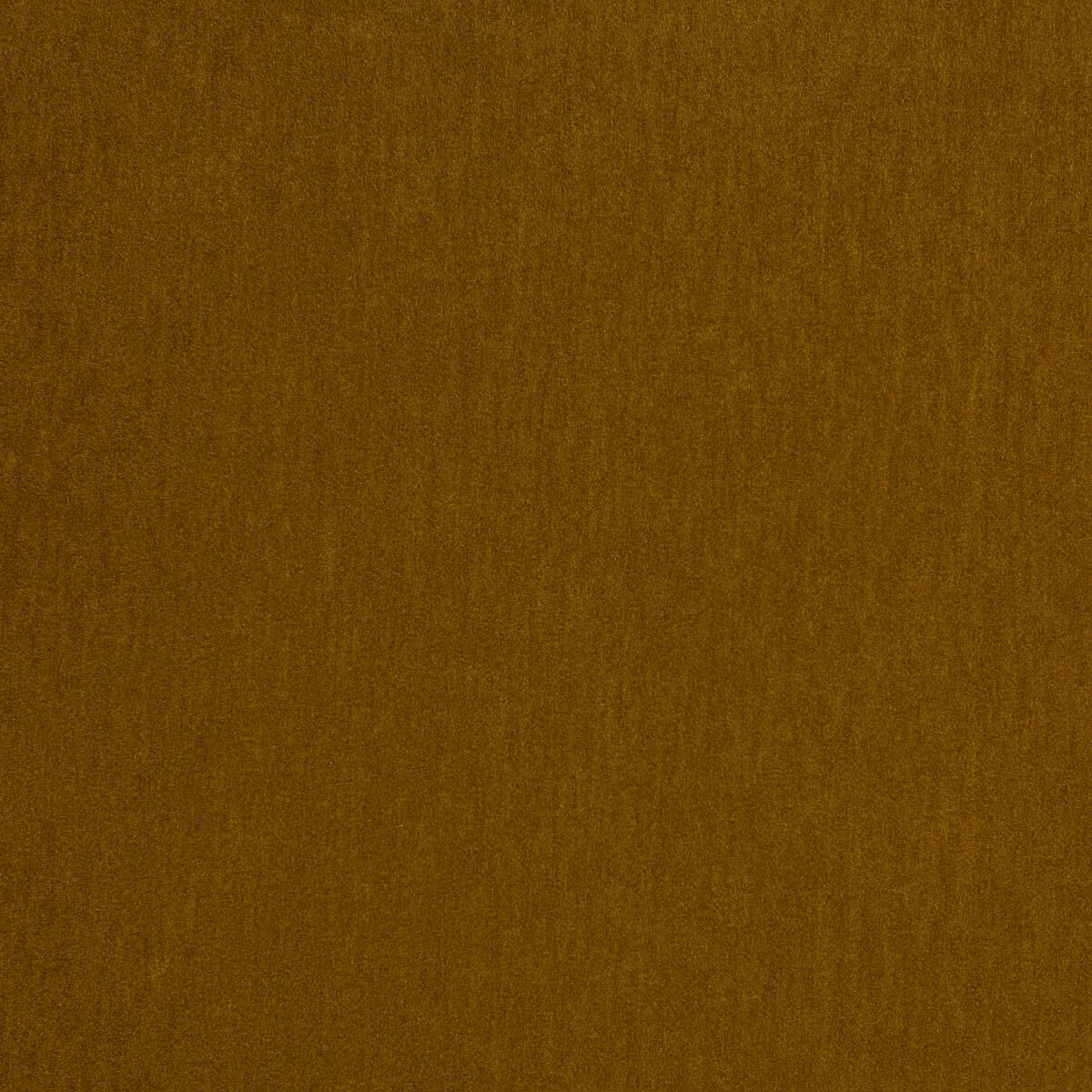 KRAVET DESIGN LIVORNO 05
