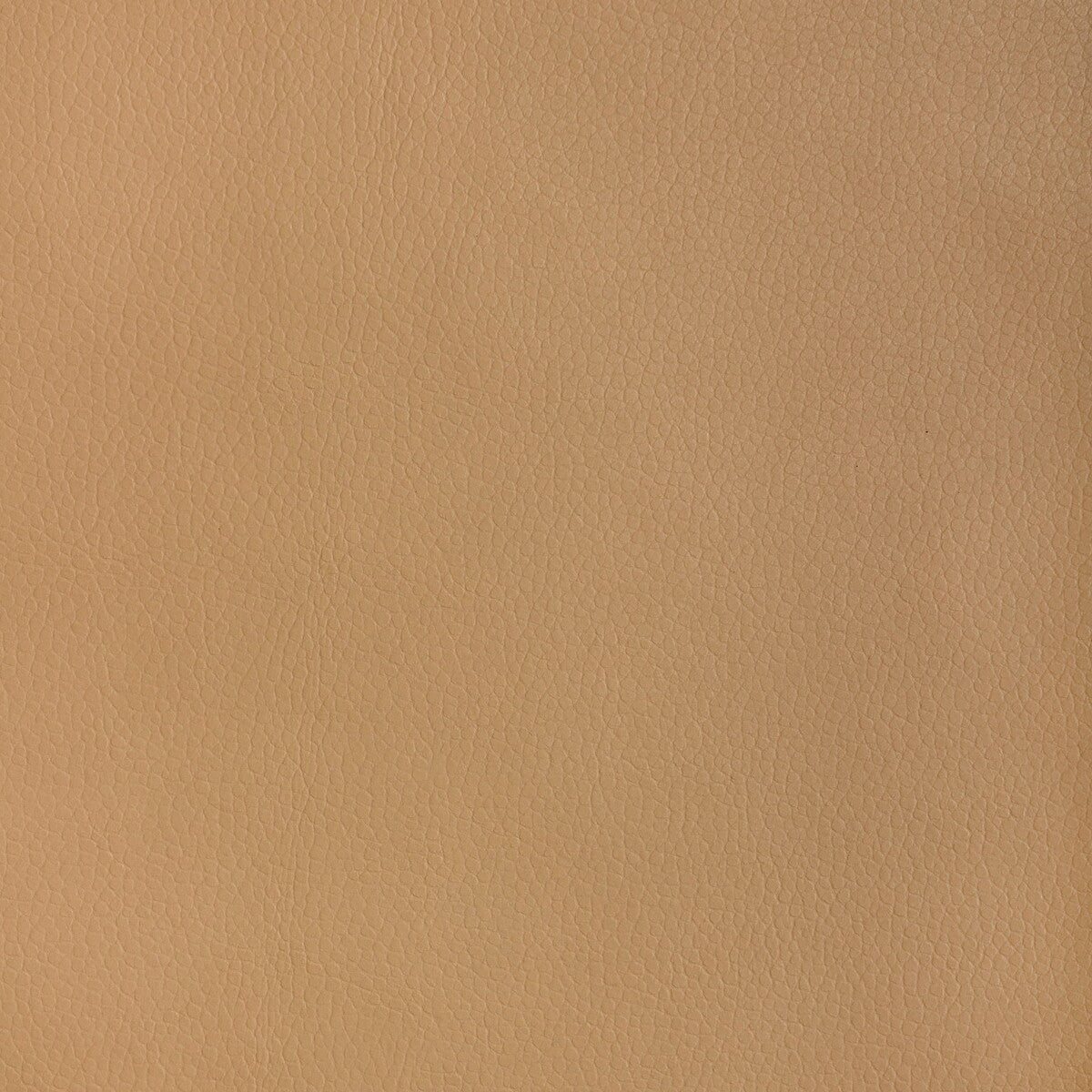 KRAVET DESIGN KRAVET DESIGN MAJOR-1616