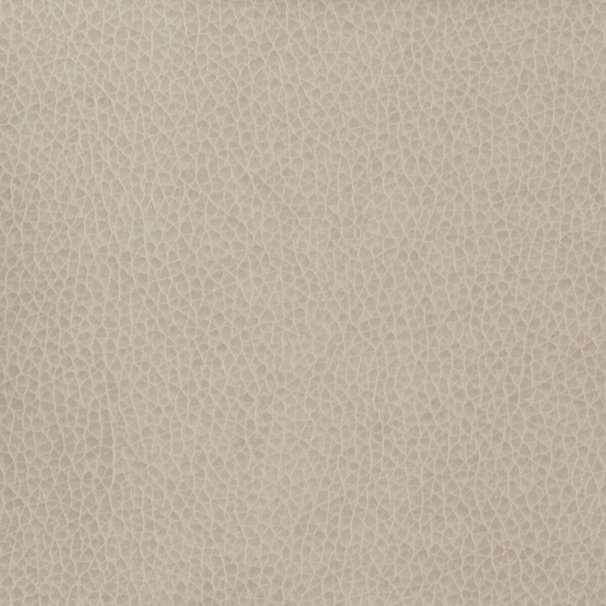 KRAVET BASICS KRAVET BASICS MATTER-11