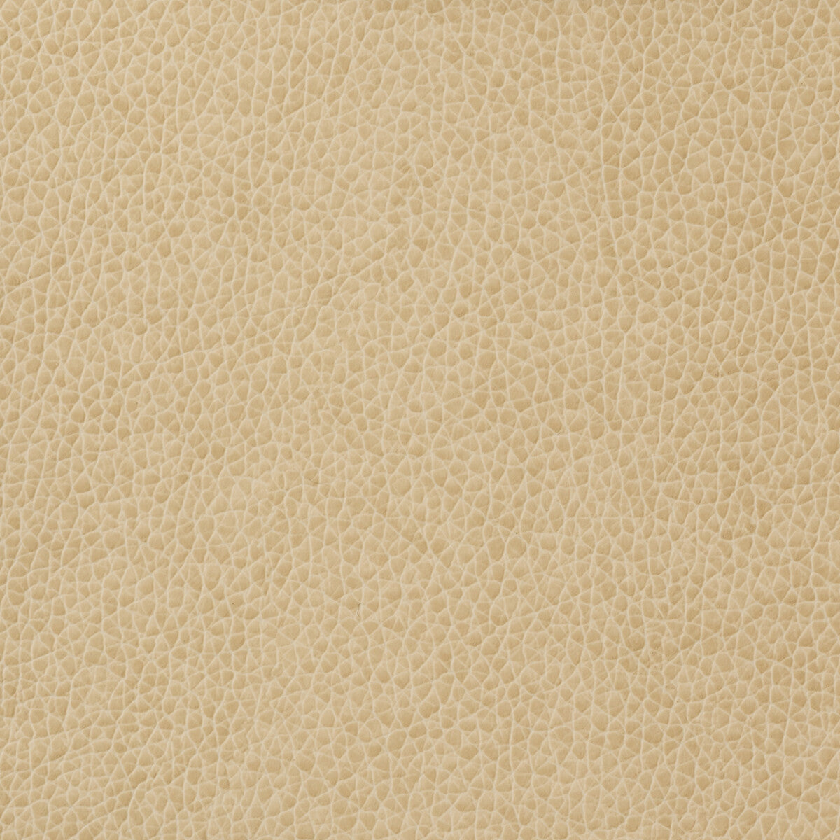 KRAVET BASICS KRAVET BASICS MATTER-1116