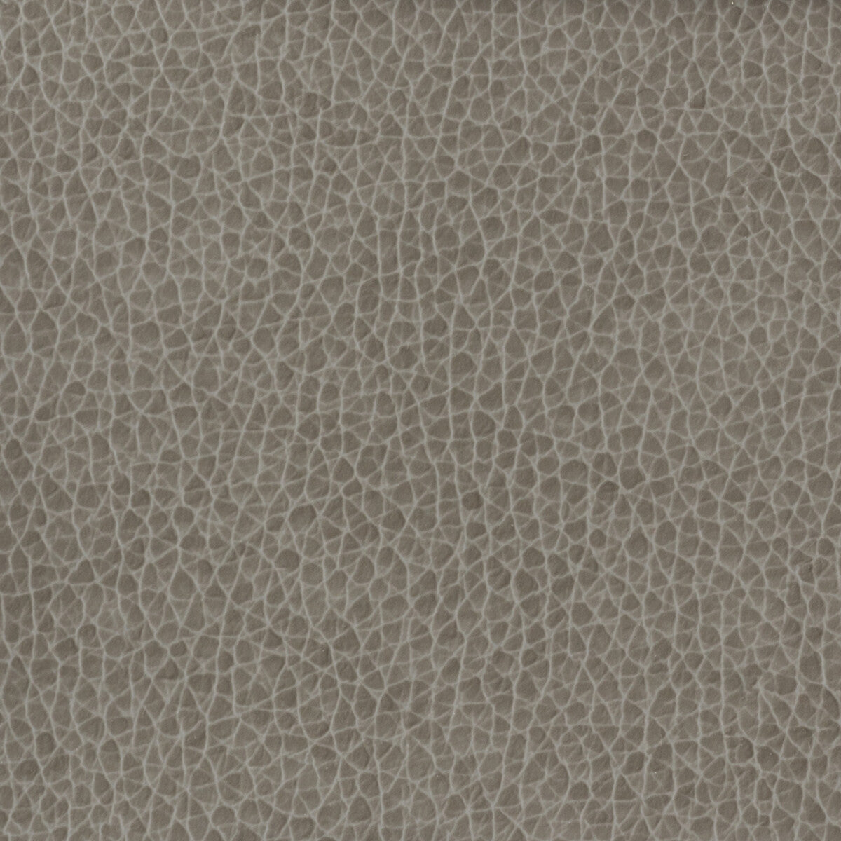 KRAVET BASICS KRAVET BASICS MATTER-1121