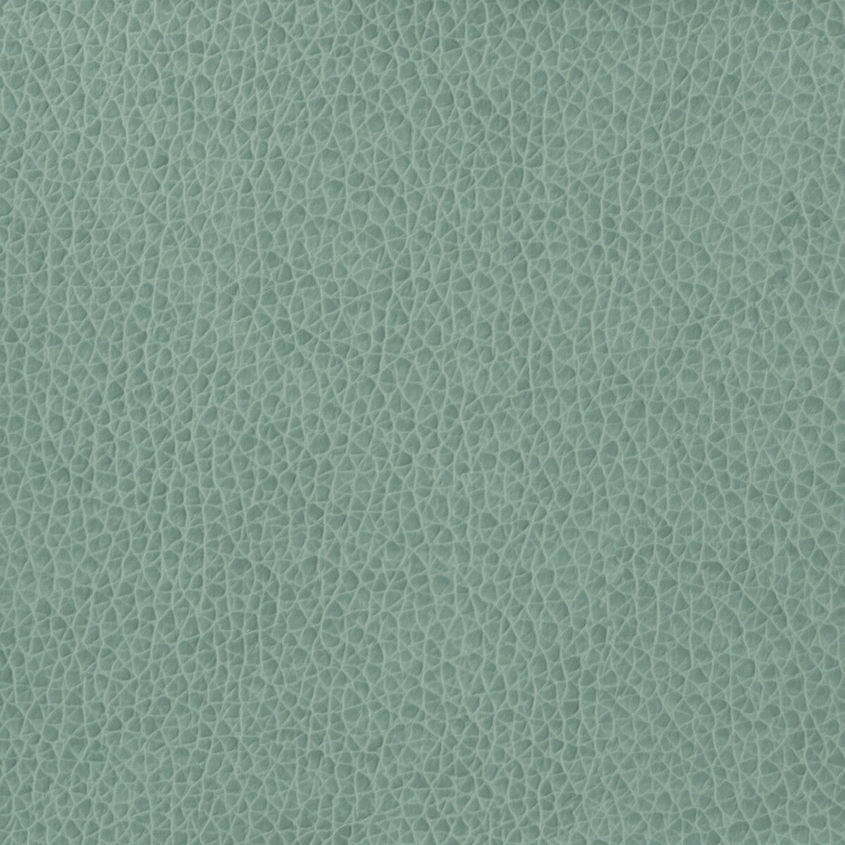 KRAVET BASICS KRAVET BASICS MATTER-15