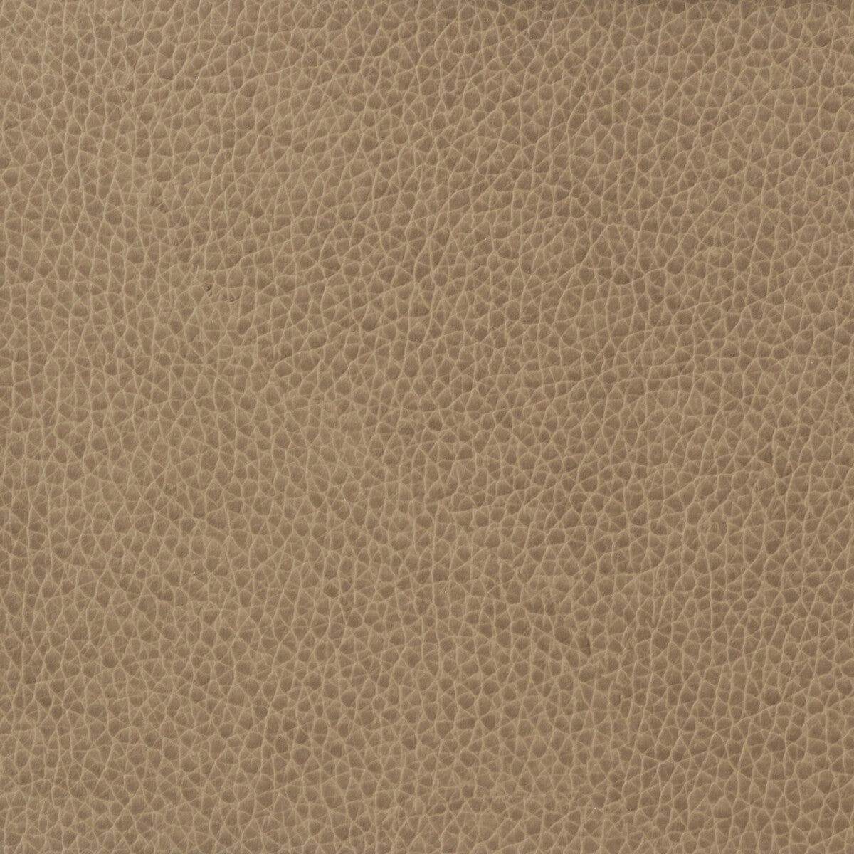 KRAVET BASICS KRAVET BASICS MATTER-1611