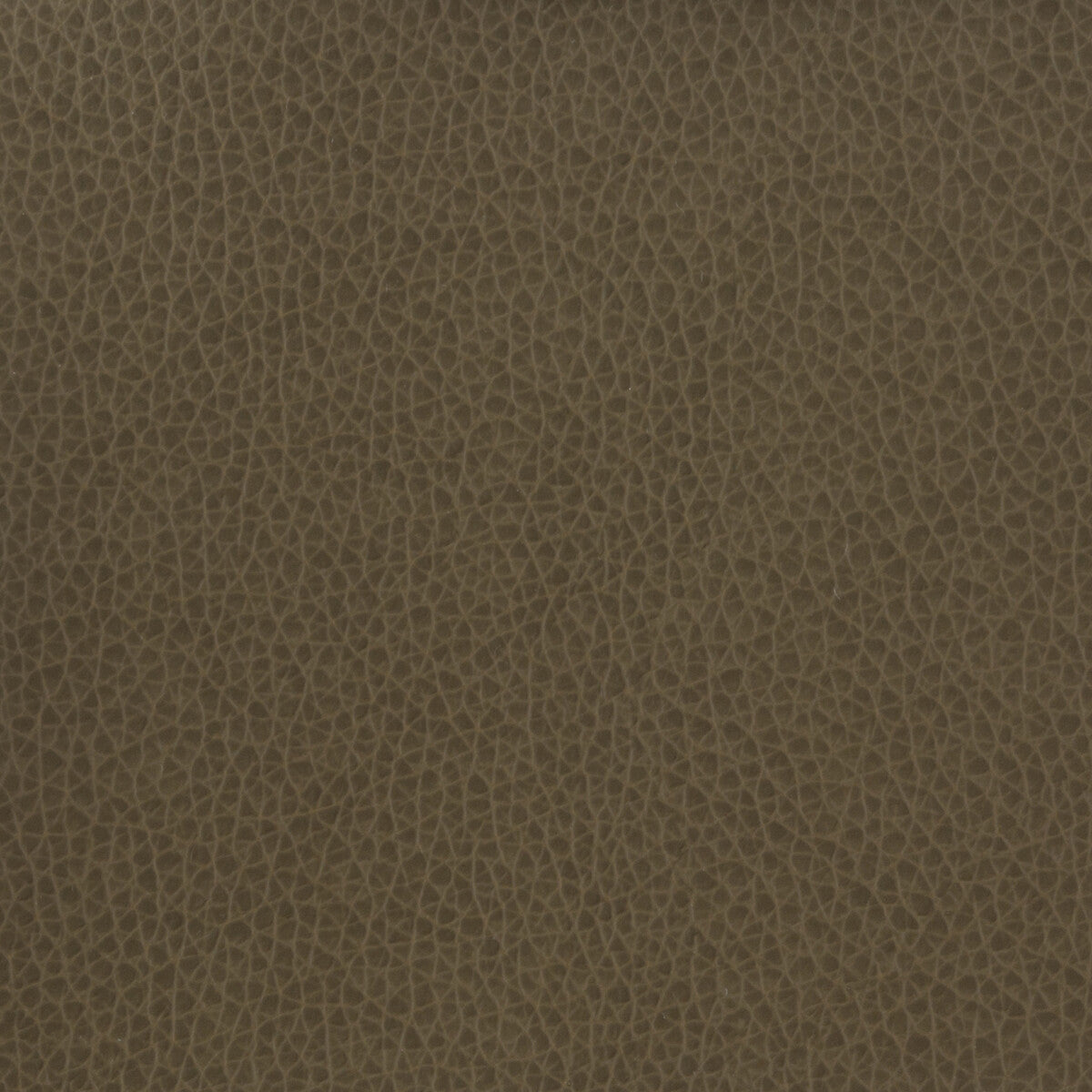 KRAVET BASICS KRAVET BASICS MATTER-21