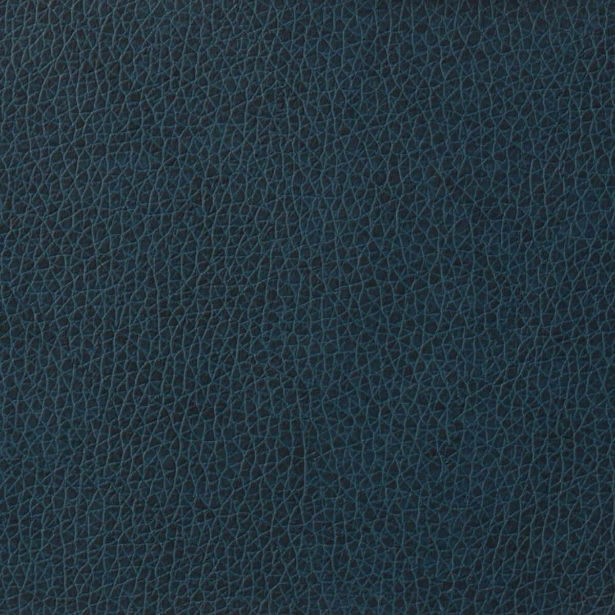 KRAVET BASICS KRAVET BASICS MATTER-5