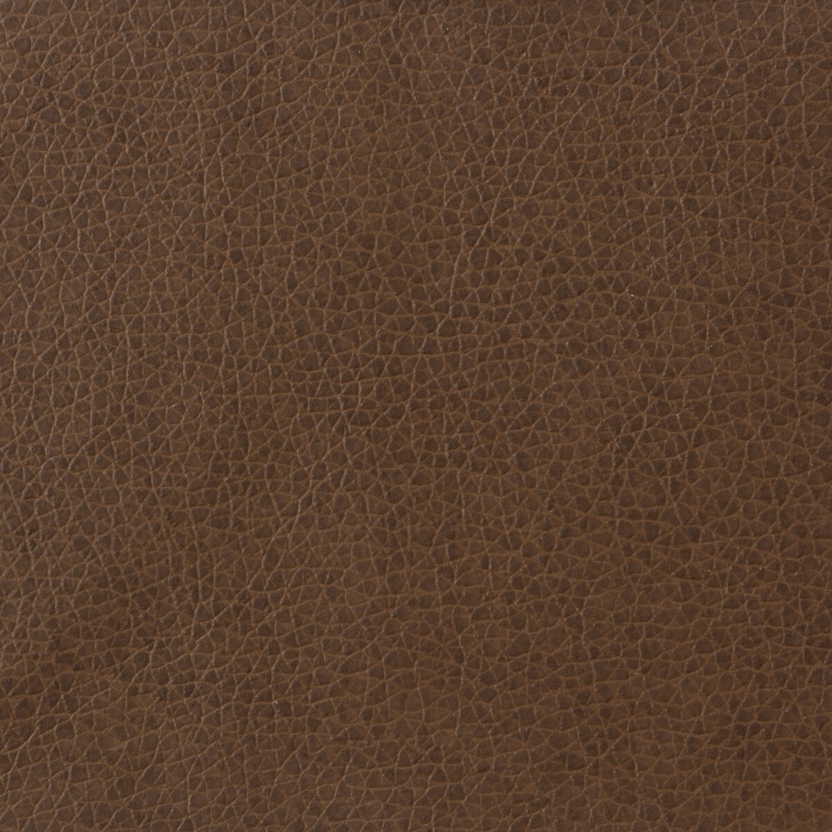 KRAVET BASICS KRAVET BASICS MATTER-6