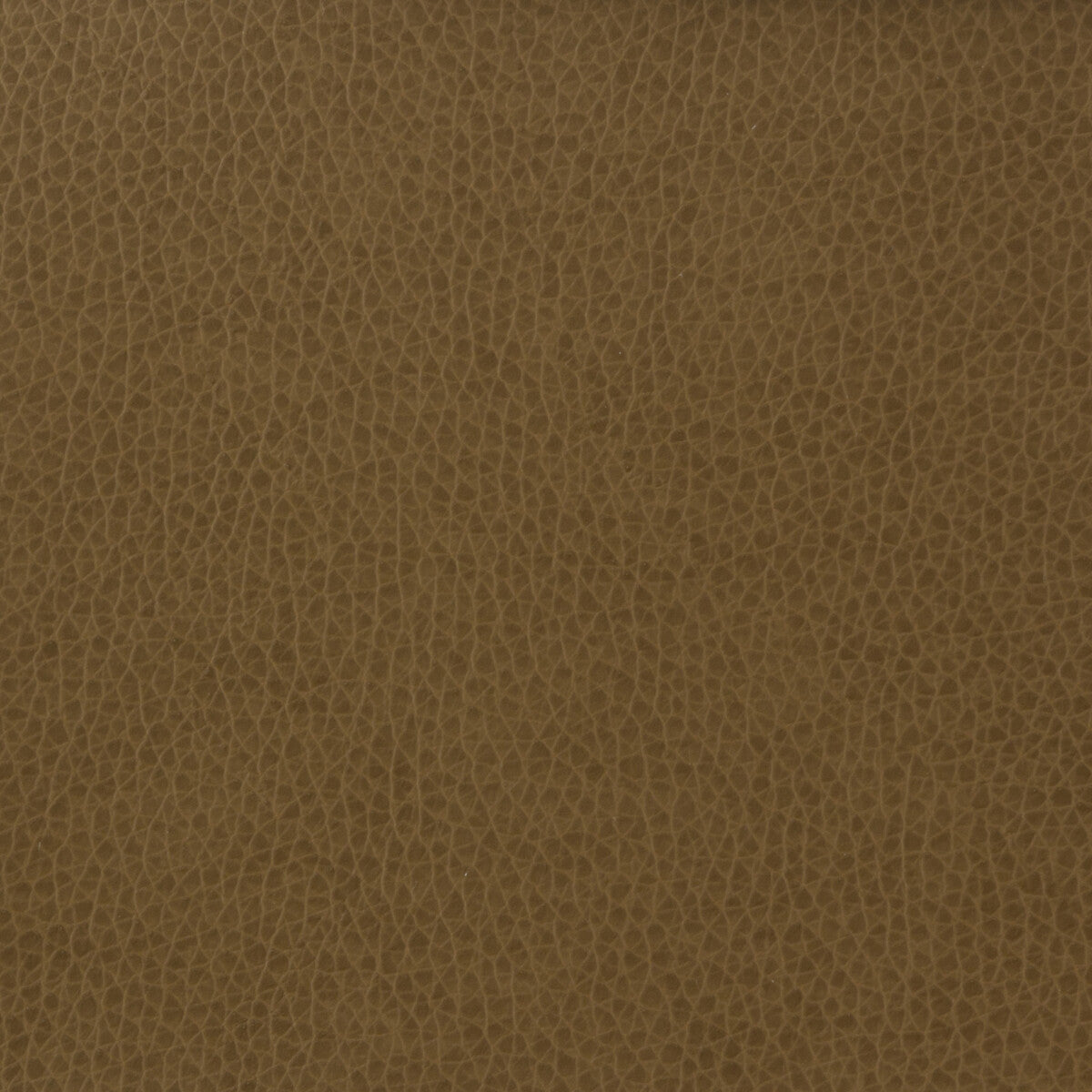 KRAVET BASICS KRAVET BASICS MATTER-606