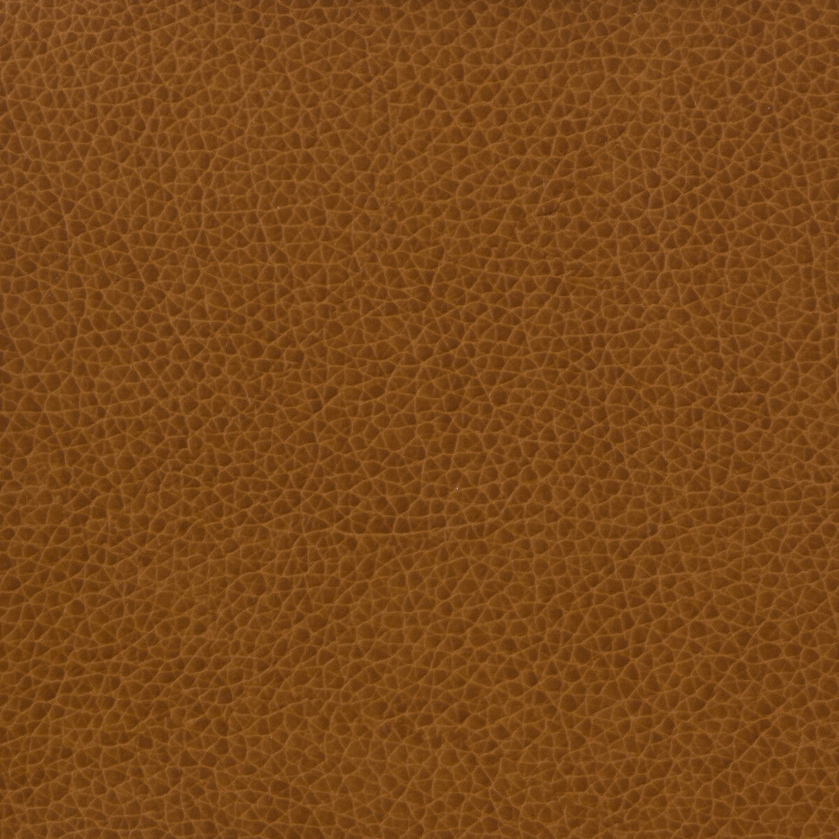 KRAVET BASICS KRAVET BASICS MATTER-616