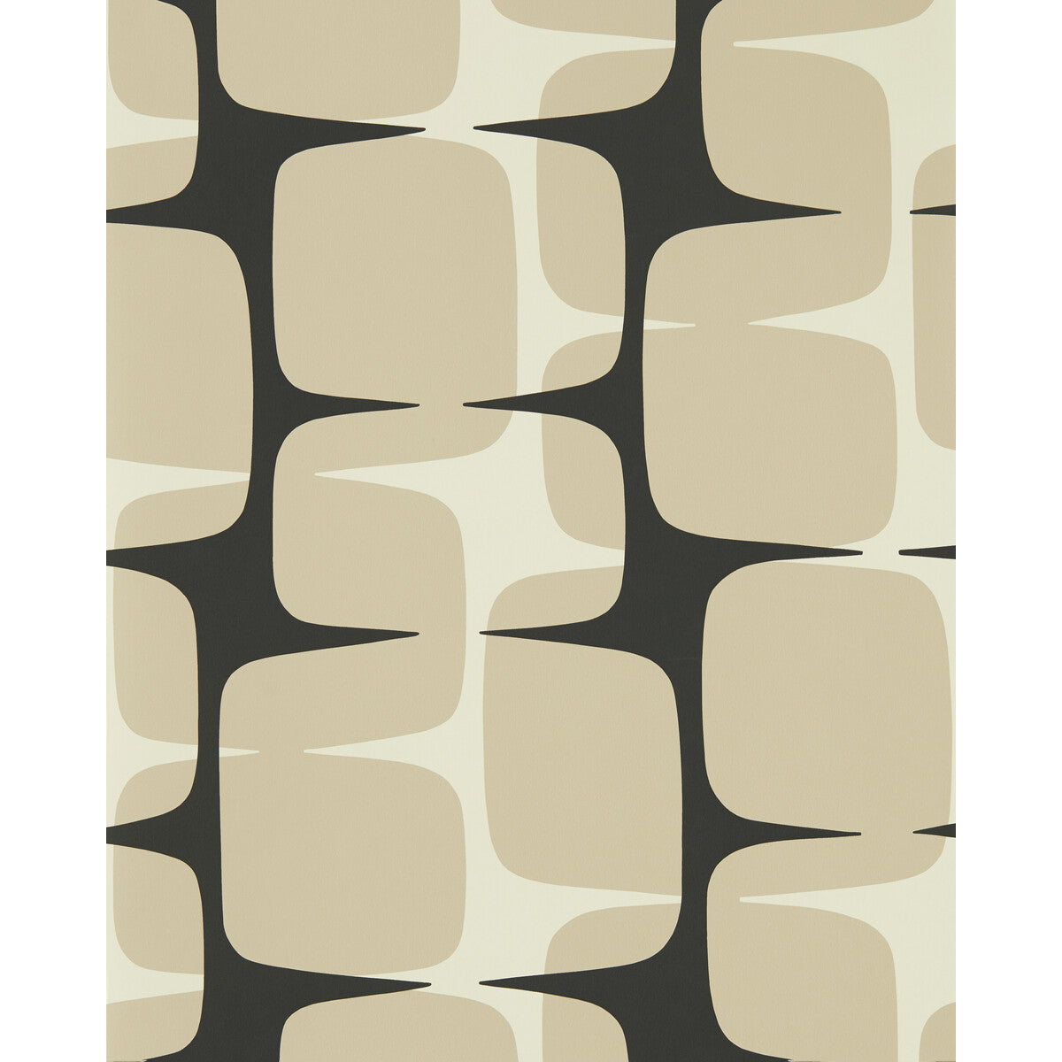 SCION GOING LOHKO POWDER/LIQUORICE