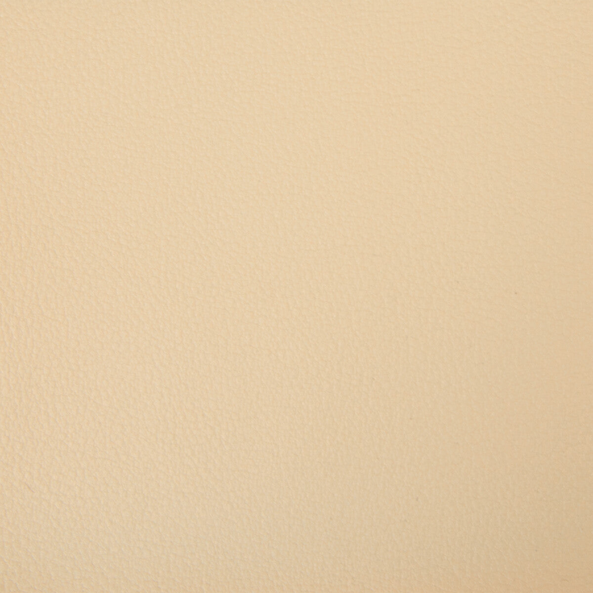 KRAVET SMART KRAVET SMART NEWT-16