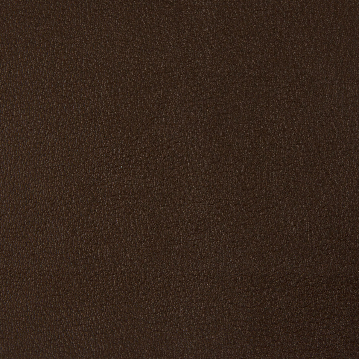 KRAVET SMART KRAVET SMART NEWT-66