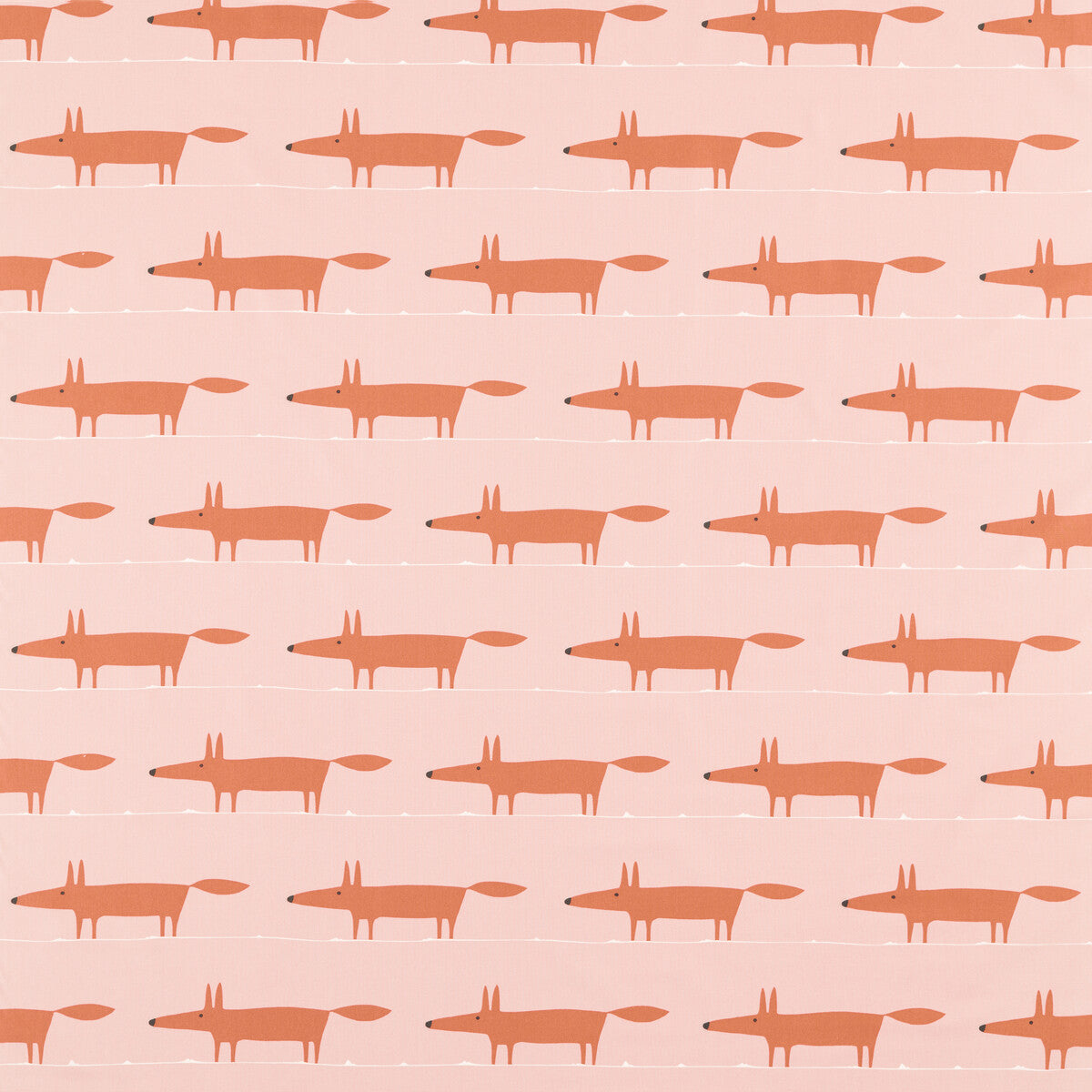 SCION MIDI FOX MILKSHAKE/ROSE