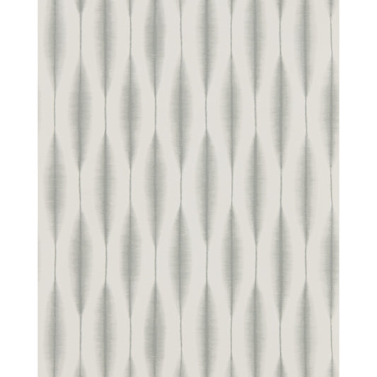 SCION KASURI BIRCH