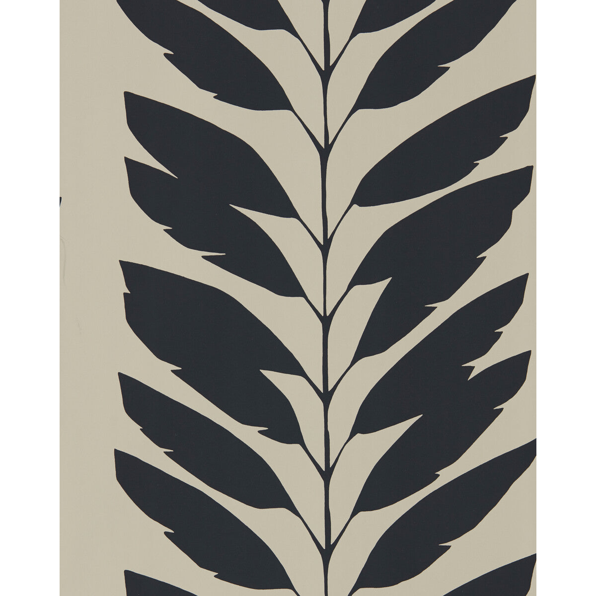 SCION MALVA LIQUORICE