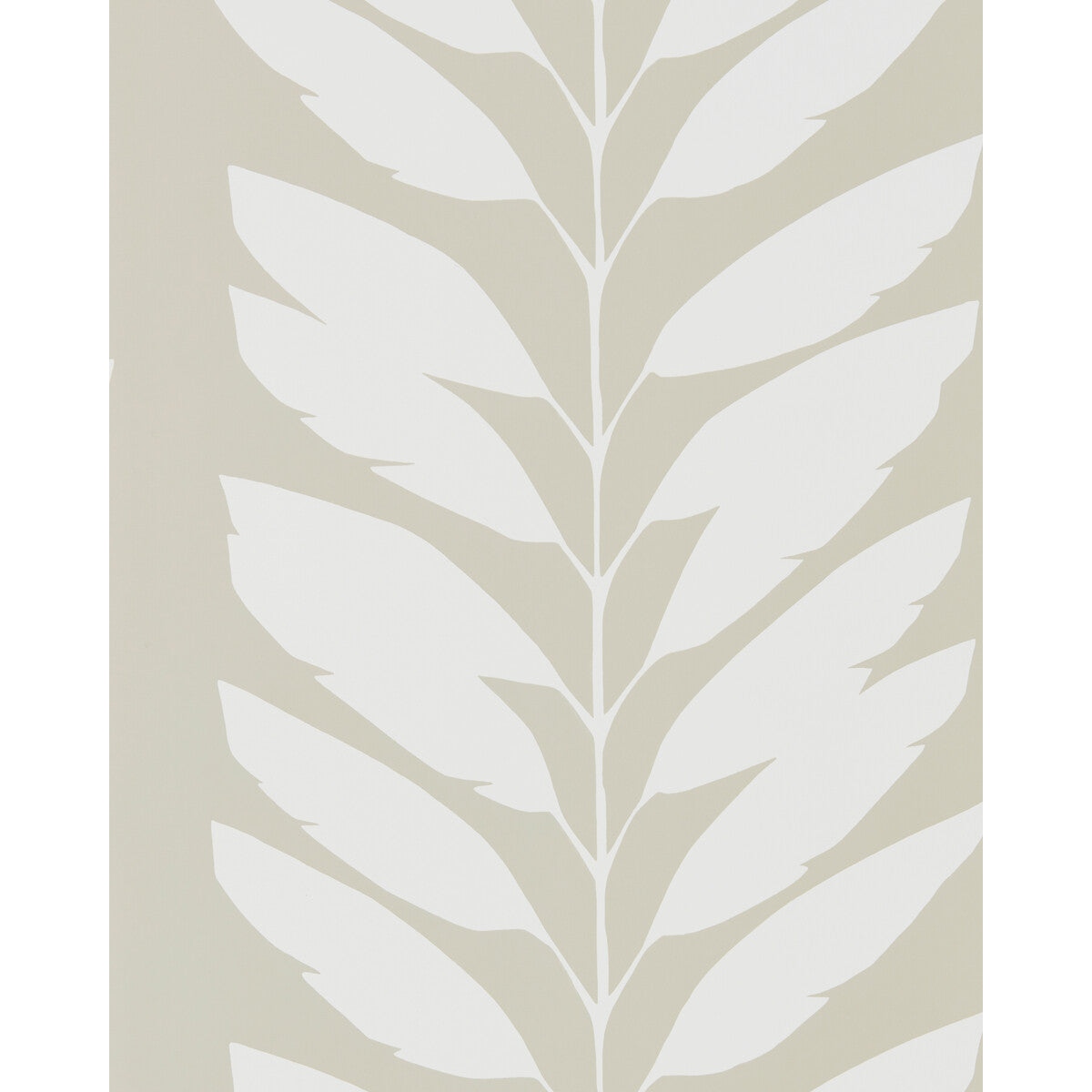 SCION MALVA PARCHMENT