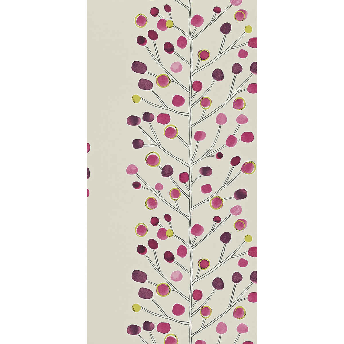 SCION BERRY TREE WP 110204
