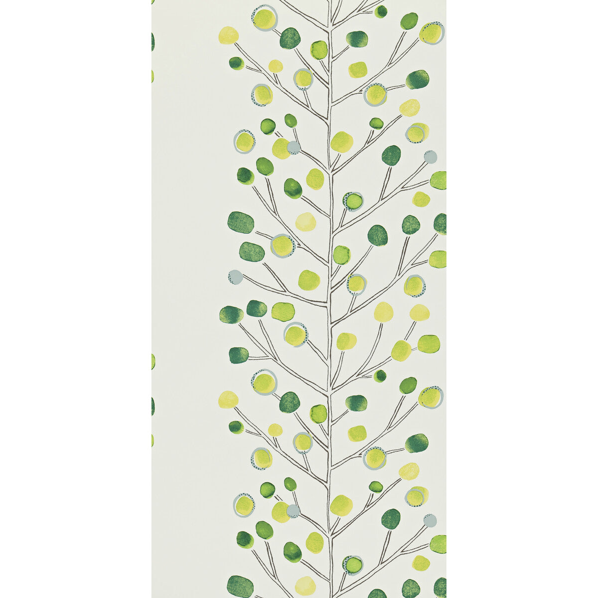 SCION BERRY TREE WP 110206