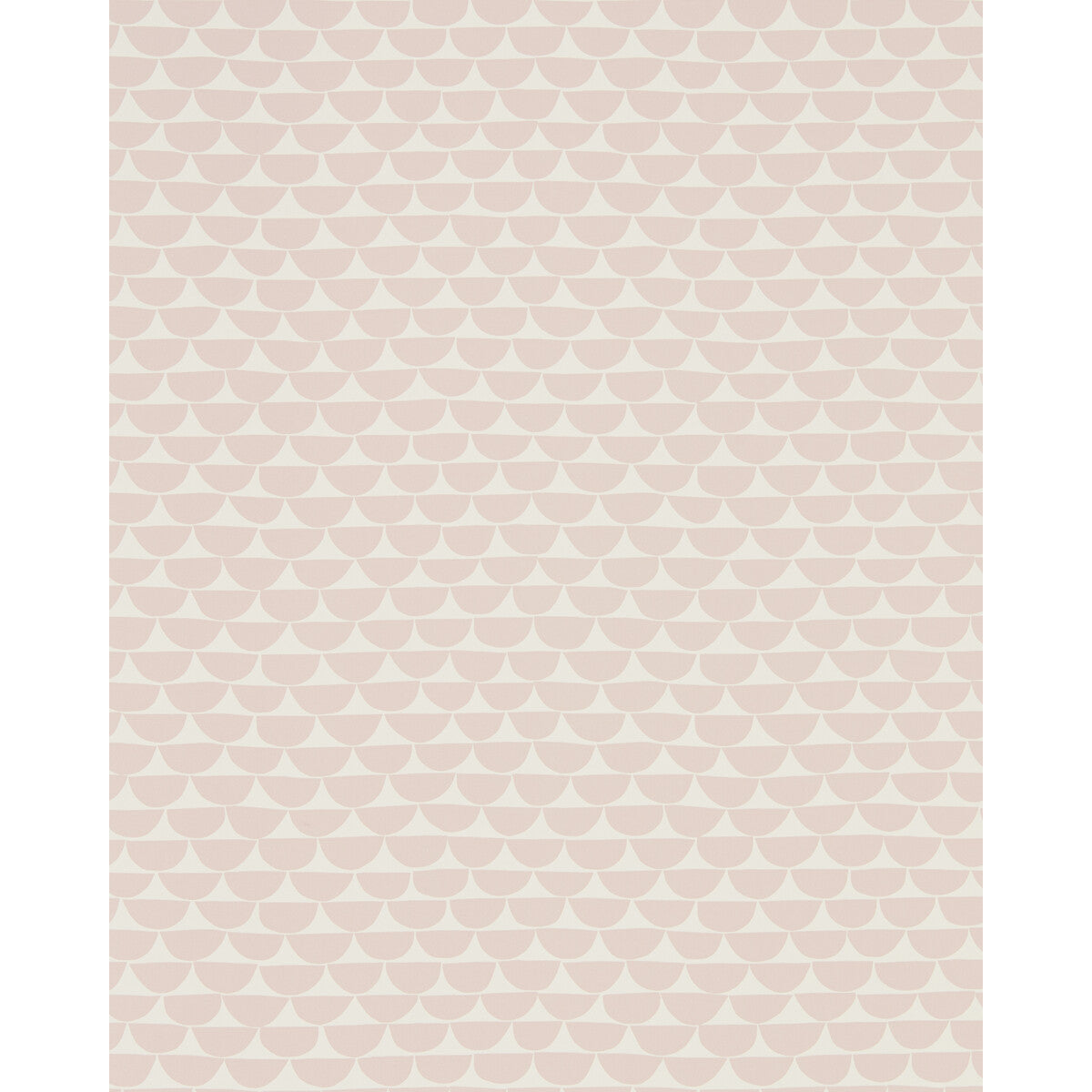 SCION KIELO BLUSH