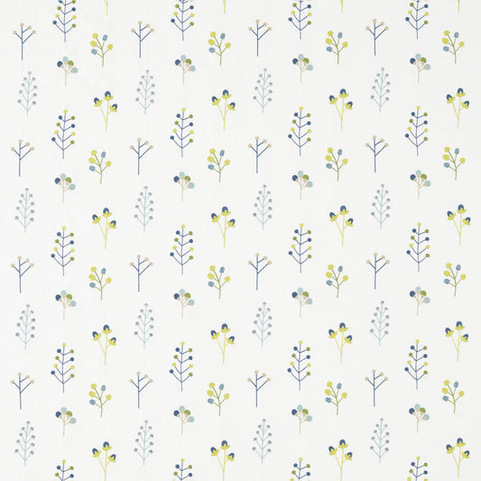 SCION MUKULA GECKO/CITRUS/PACIFIC