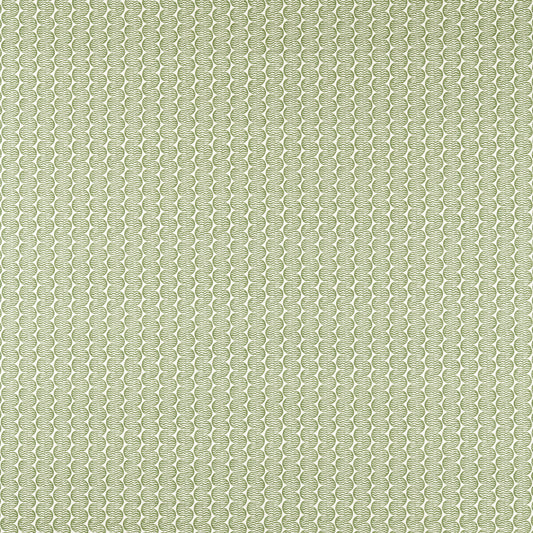 SCION RAFT STRIPE PINE