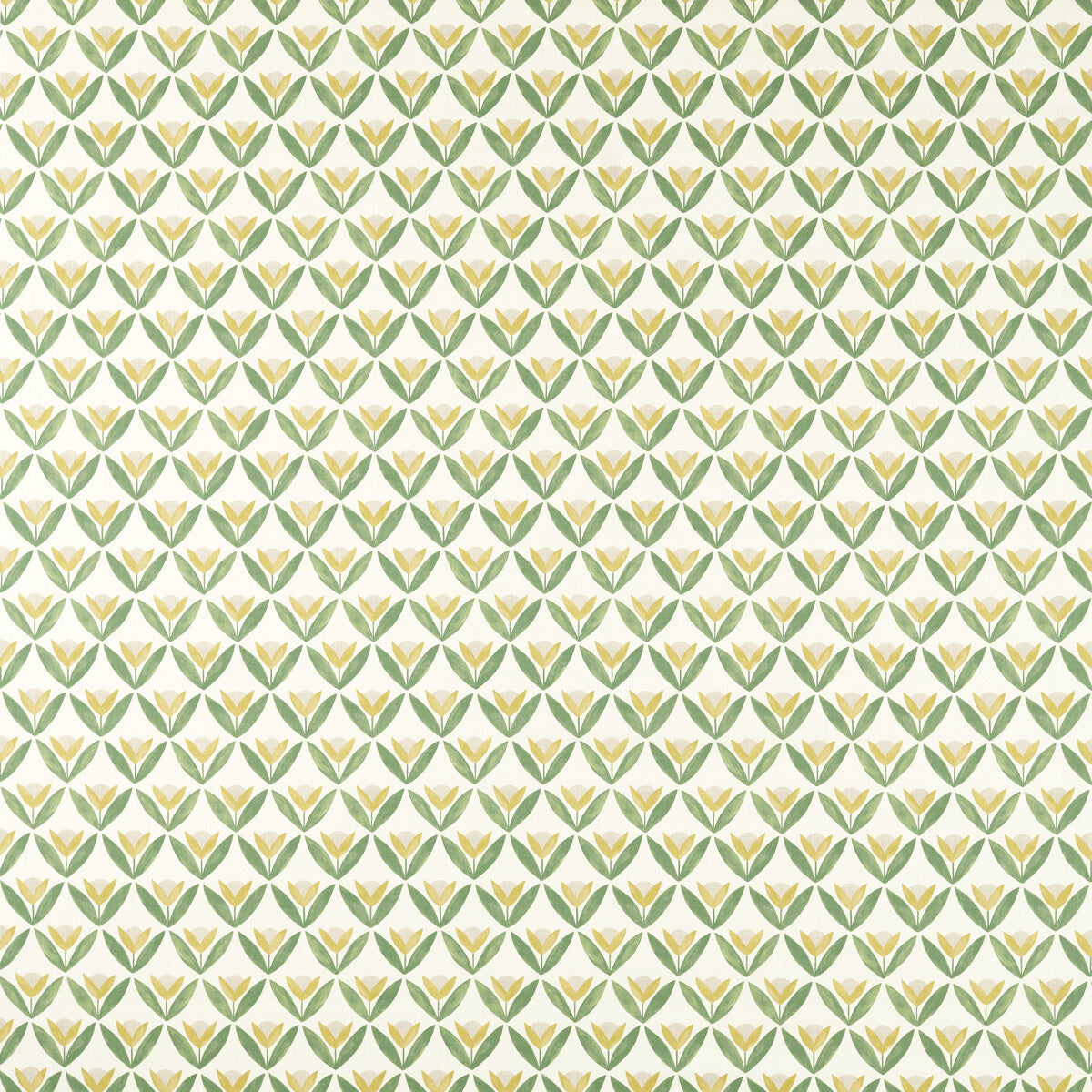 SCION TULIP TRELLIS HONEY