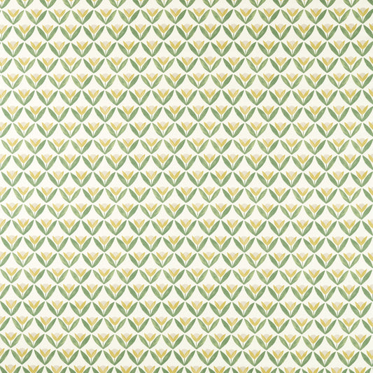 SCION TULIP TRELLIS HONEY