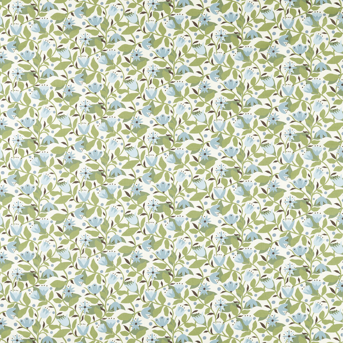 SCION DANCING DAISIES CORNFLOWER