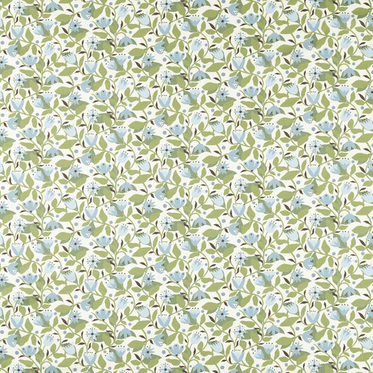SCION DANCING DAISIES CORNFLOWER