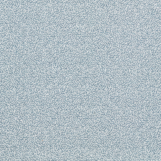 SCION DUCKWEED COAST BLUE