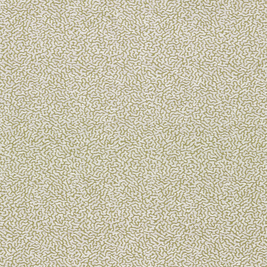 SCION DUCKWEED LAWN