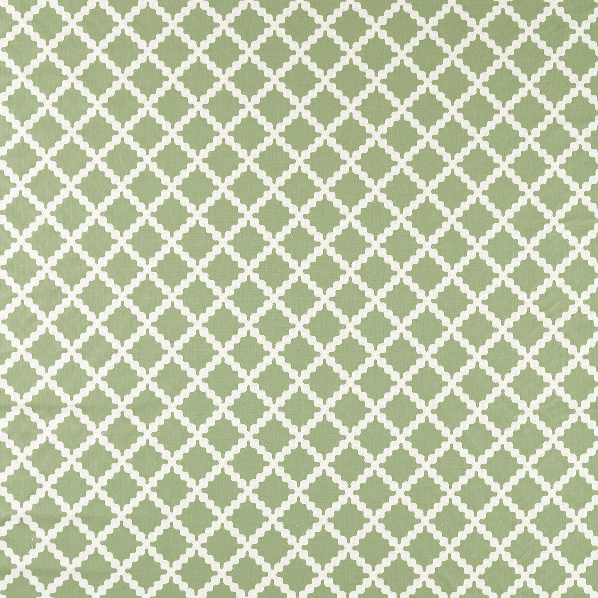 SCION SWITHLAND PINE