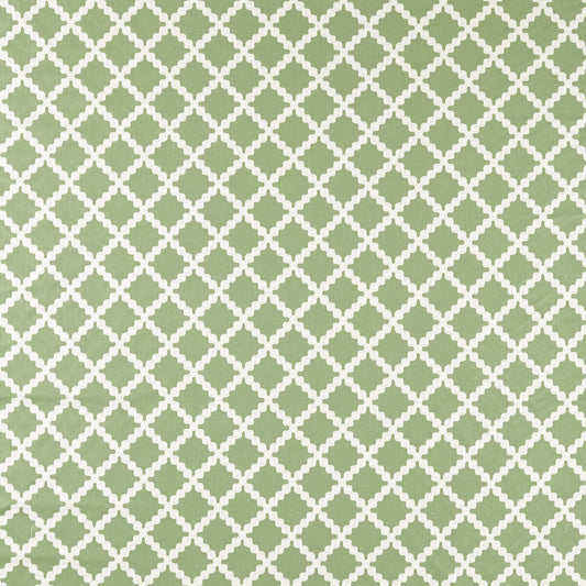 SCION SWITHLAND PINE