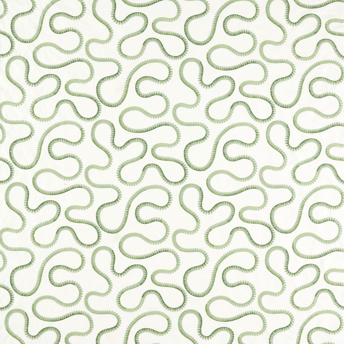 SCION BIMBLE PINE