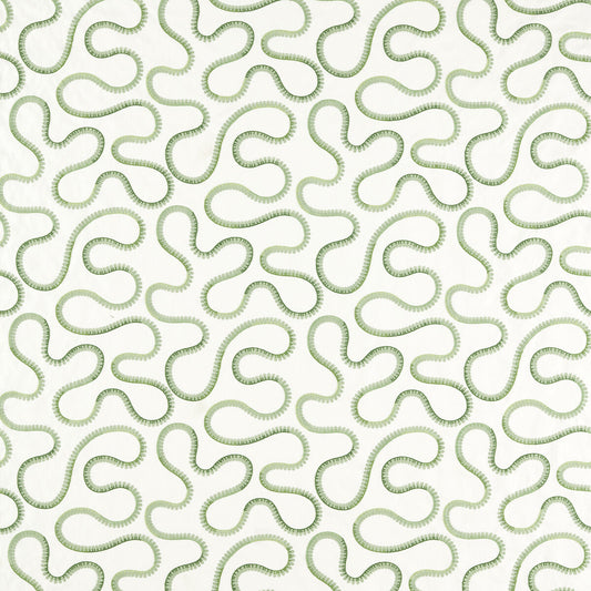 SCION BIMBLE PINE