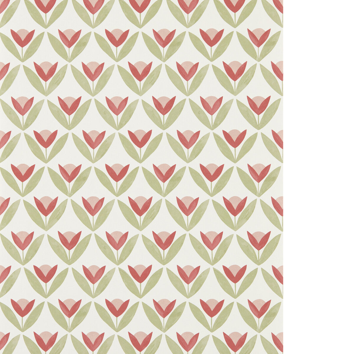 SCION TULIP TRELLIS WP BERRY