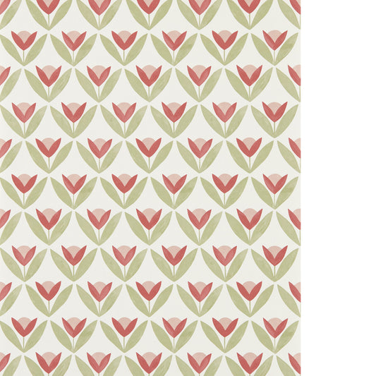 SCION TULIP TRELLIS WP BERRY