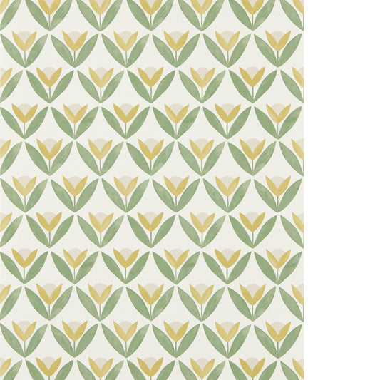 SCION TULIP TRELLIS WP HONEY