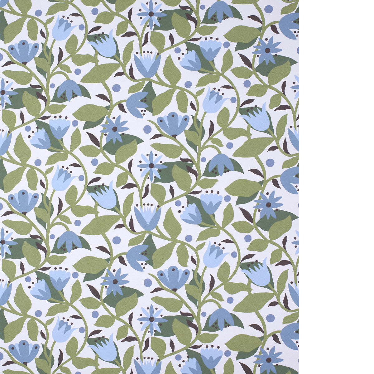 SCION DANCING DAISIES WP CORNFLOWER