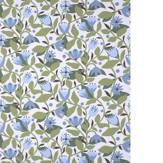 SCION DANCING DAISIES WP CORNFLOWER